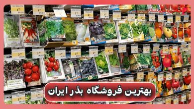 بهترین فروشگاه بذر ایران